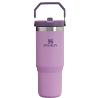 Термокружка Stanley IceFlow Flip Straw Tumbler (0,89 литра), фиолетовая 10-09993-312 от прозводителя STANLEY