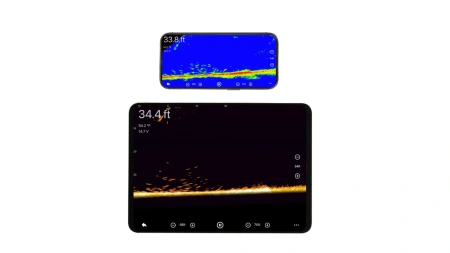Accuphy PingLive Sonar APL от прозводителя ACCUPHY