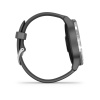 Garmin Vivoactive 4 - 45 мм | Shadow Grey with Silver Hardware