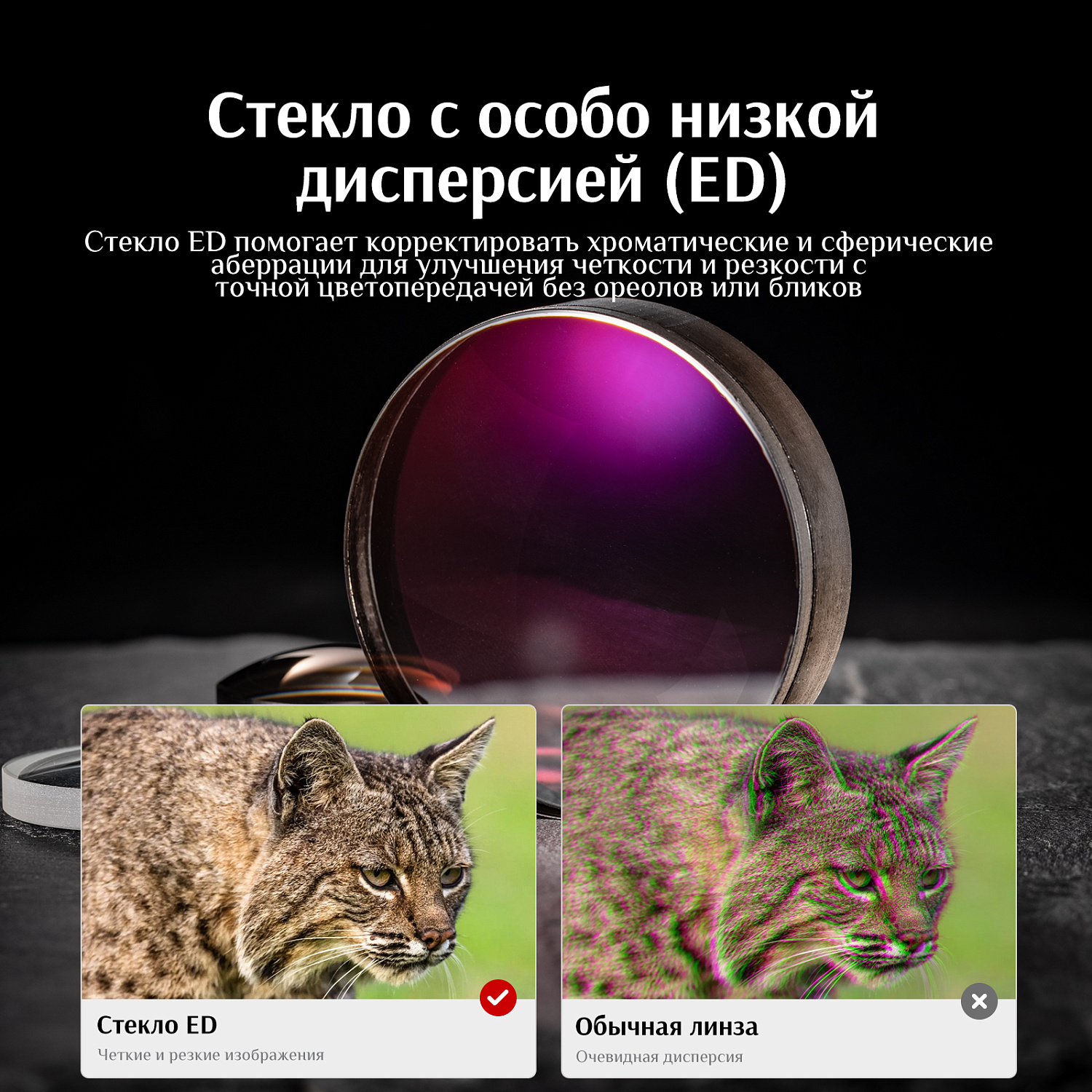 Бинокль Eyeskey Wind ED-8x32