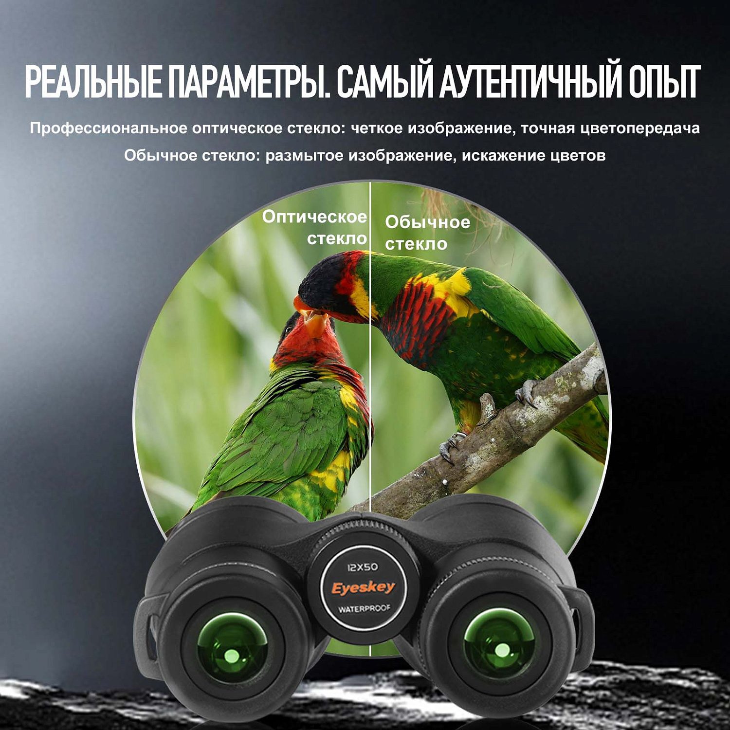 Бинокль Eyeskey Surge - 10x50